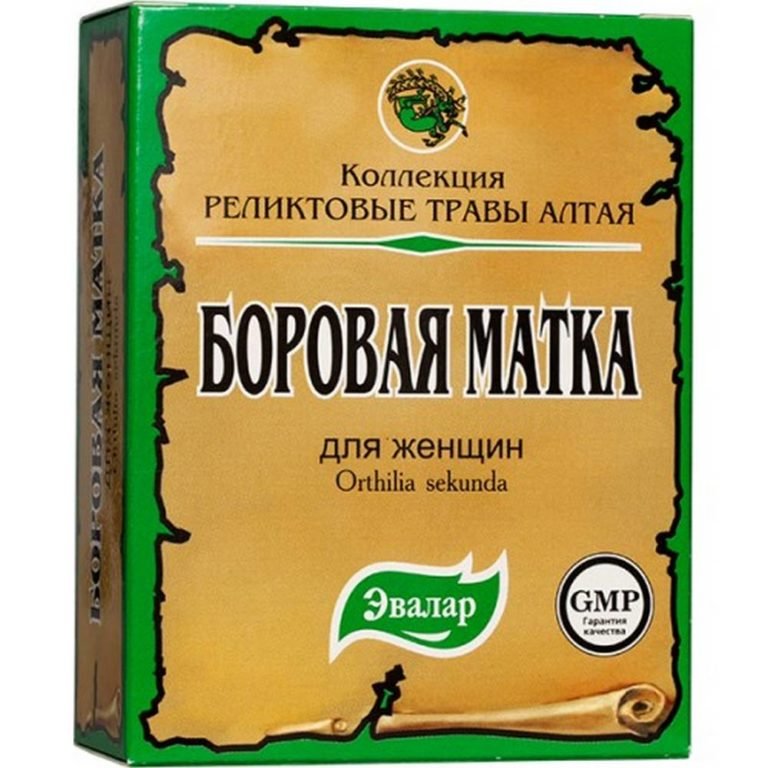 Купить Боровую Матку В Аптеке Спб