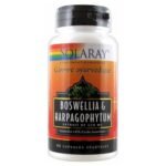 Solaray Boswellia & Harpagophytum 60 растительных гелевых капсул - это пищевая добавка на основе Boswellia & Harpagophytum.