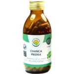 Chanca Piedra - однолетнее травянистое растение