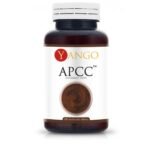 APCC ™ (ACTIVE POLYSACCHARIDES CORRELATED COMPOUND) is a dietary supplement consisting of 4 mushrooms with unusual properties: Reishi