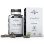 Mico-Mai is a dietary supplement with high concentration (8: 1 ratio) in capsules developed from pure Maitake extract (Grifola frondosa) from certified organic production . Mico-Mai contains zinc which contributes to the normal metabolism of macronutrients . This dietary supplement of mycotherapy contributes to the normal maintenance of blood sugar and immunity.