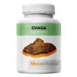 Chaga mushroom or rusty oblique is rich in large amounts of bioactive substances, vitamins, minerals and polysaccharides .