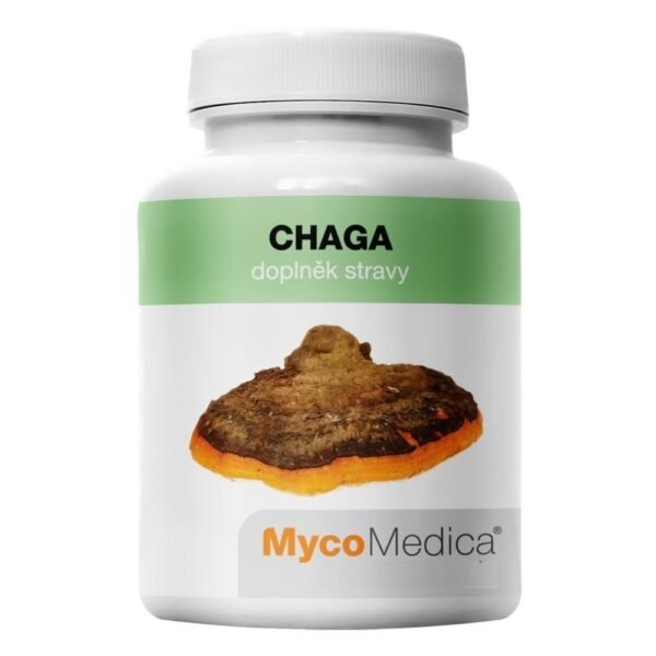 Chaga mushroom or rusty oblique is rich in large amounts of bioactive substances, vitamins, minerals and polysaccharides .