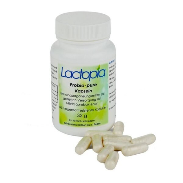 Organic food supplement with lactic acid bacteria.
