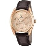 WATCH FESTINA F16754 / 2 MEN'S XL ANALOG QUARTZ LEATHER. Body material: stainless steel.