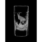 Shot glass set