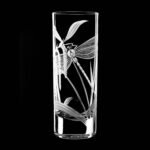 Water glass set
