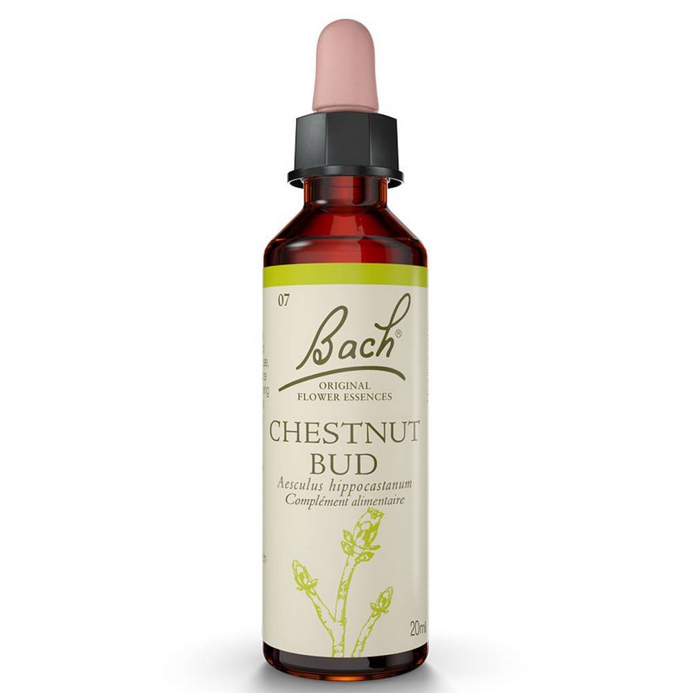 bach flowers chestnut bud 20ml original chestnut bud from india Bach Flowers Horse Chestnut Bud 20ml Original CHESTNUT BUD: The Horse Chestnut Bud is for those who do not know how to take advantage of their experiences, therefore unable to progress in life. They always make the same mistakes, for example falling over and over again in love with an incompatible partner