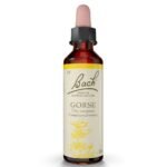 Gorse fights deep despair; it is suitable for those who have stopped struggling. They may suffer from a chronic illness, and have learned that nothing else could be done to help them, or sometimes they are convinced that their disease is hereditary and therefore incurable.