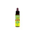Bach Flowers Heather Inebios HEATHER 10ml: Heather (Calluna vulgaris) is suitable for those who are totally preoccupied with themselves, obsessed with their own ailments and problems.