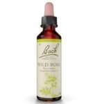 Bach flowers Rosehip (Rosa canina). The wild rose is suitable for those who resign themselves to an unpleasant situation, whether it is an illness, a monotonous life or an unpleasant job.