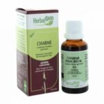 Charme bio Herbalgem is generally indicated in winter because, according to the principles of gemmotherapy, it would help soothe the respiratory tract during chronic bronchitis, rhinitis ... Traditionally, it is also attributed certain virtues, especially in terms of blood circulation.