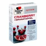 supports the immune system and its own cell protection