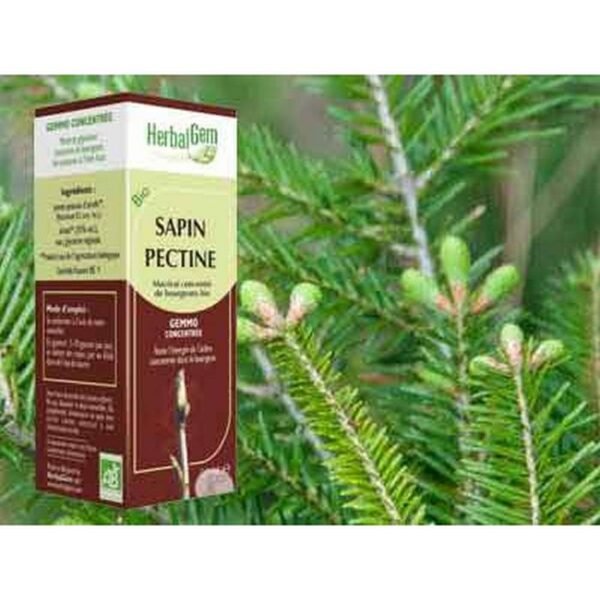 The concentrated macerate of silver fir buds accompanies the growth spurts of the child. In adults, it is remineralizing and helps to preserve the density of bone capital, throughout life.