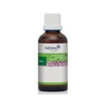 The lanceolate plantain is a plant also known under the name of "hare's ears" or "5-seam grass" particularly useful for facilitating respiratory comfort (especially dry cough, asmthe ...) and calming allergic reactions.