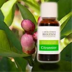 Most of the time, the lemon tree bud is recommended as a blood thinner, more particularly in the legs (varicose veins, etc.)