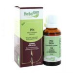 The pine bud is a remineralizer, it rebalances the organism in depth.