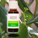To sustainably and naturally strengthen your cardiovascular system.