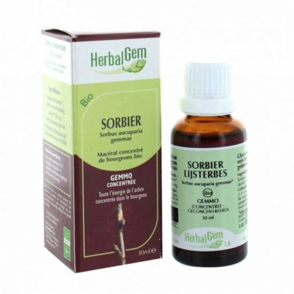 SORBIER young shoot glycerine macerate BIO HERBALGEM 30ml promotes circulation in all members of the body, its action is remarkable on the blood system as a venous drainer. Heaviness and stasis in the legs, hemorrhoids, poor peripheral circulation ...