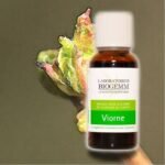 The bud of viburnum is traditionally used in allergic disorders and inflammatory disorders.