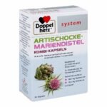 To support the liver-gallbladder system