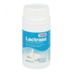 In the case of lactose intolerance or lactase deficiency