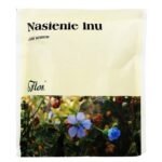 Linseed (Lini semen) - herbs for infusion.