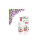 NATURACTIVE Wild Pansy 30 капсул в нашей органической аптеке, пищевая добавка, предназначенная для улучшения внешнего вида кожи, особенно для жирной кожи. Поделитесь своим мнением о совете по применению и дозировке с нашим партнером с проверенными отзывами после покупки.