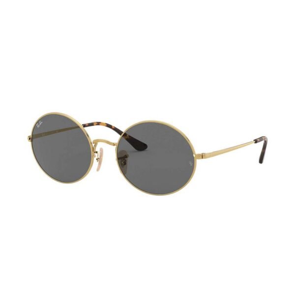 Ray-Ban SUNGLASSES RB1970-9150B1. Mineral lenses that are more resistant to scratches.