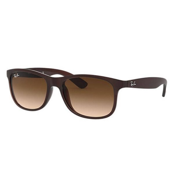 Ray-Ban SUNGLASSES RB4202-607313. High quality materials.