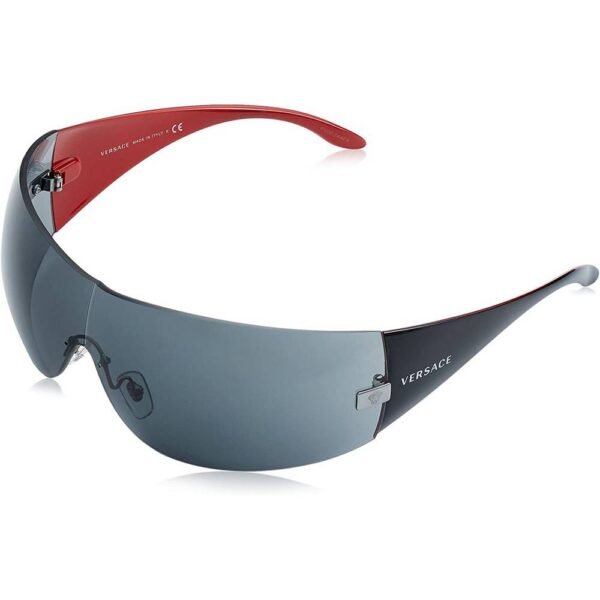 VERSACE VE 2054 100187 sunglasses. High quality materials.