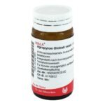 anthroposophic medicine