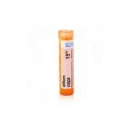 Homeopathic medicinal product without approved therapeutic indications. Oral administration. Contains sucrose and lactose monohydrate.
