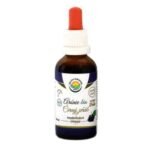The chokeberry is a shrub or small tree growing up to 2 meters high. Black berries, which are the source of pectin, flavonoids, sugar (glucose, sucrose, fructose) fiber, tannins and other substances including vitamins