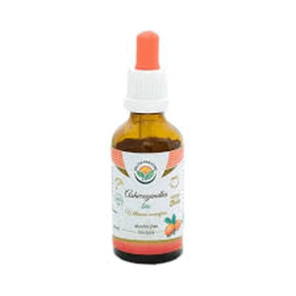 Ashwagandha - Withania somnifera favorably supports reproductive functions