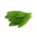 The green juicy leaves of copper garlic are harvested before they bloom, they are characterized by the smell of garlic.
