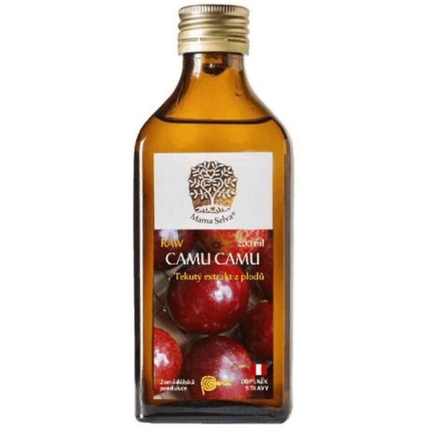 Camu Camu (Myrcaria dubia) is a round fruit of the shrub Myrciaria dubia, which grows in floodplains on the banks of the Amazon River. Camu Camu shrub with light green to dark red fruits according to current maturity.