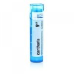 Homeopathic medicinal product without approved therapeutic indications. Oral administration. Contains sucrose and lactose monohydrate.