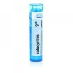 Homeopathic medicinal product without approved therapeutic indications. Oral administration. Contains sucrose and lactose monohydrate.