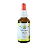 In traditional medicine, dandelion root is highly valued and is especially suitable for maintaining normal digestive functions - it acts as a prebiotic. Dandelion is also used as an effective antioxidant, supports liver and stomach functions