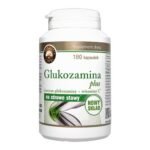 Glucosamine Plus - a dietary supplement containing glucosamine, which is part of the articular cartilage. The preparation is intended for adults