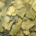 Ginkgo biloba - normal brain activity, microcirculation of the blood system, cognitive function, mental balance, peripheral circulatory system - eyes, hearing, antioxidant.