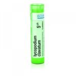 Homeopathic medicinal product without approved therapeutic indications. Oral administration. Contains sucrose and lactose monohydrate.