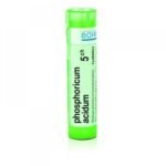 Homeopathic medicinal product without approved therapeutic indications. Oral administration. Contains sucrose and lactose monohydrate.