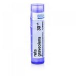 Homeopathic medicinal product without approved therapeutic indications. Oral administration. Contains sucrose and lactose monohydrate.