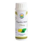 The capsules are made from a standardized extract of the dandelion plant - Taraxacum officinale. The extract is standardized for flavon content.
