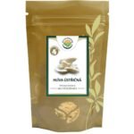 Oyster mushroom (Pleurotus ostreatus) is an edible tasty wood-destroying fungus used in gastronomy.