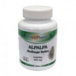 Люцерна (Medicago Sativa) или ALPHALPH известна высоким содержанием витаминов A, D, E, K и B6. Кроме того, он содержит широкий спектр минералов (калий, фосфор, железо) и хлорофилл.