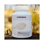 Коприн по-чешски называют обыкновенным навозным жуком. Латинский Coprinus comatus. Хотя он высоко ценится в гастрономии, он также занял прочное место как в европейской микотерапии, так и в традиционной китайской медицине.