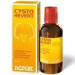 Homeopathic medicine in diseases of the urinary organs.